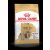 Royal Canin Adult (Shih Tzu) - száraz kutyaeledel Shih Tzu kutyáknak 10 hónapos kortól (500g)