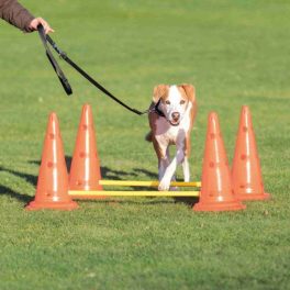 Trixie Sporting Obstacle Set - ugró akadály