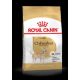 Royal Canin Adult (Chihuahua) - száraz kutyaeledel Chihuahua kutyáknak 8 hónapos kortól (500 g)