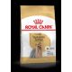 Royal Canin Adult (Yorkshire Terrier) - száraz kutyaeledel Yorkshire terrier kutyáknak 10 hónapos kortól