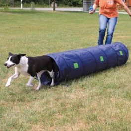 Trixie agility tunnel-alagút kistestű kutyáknak