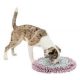 Trixie Junior Sniffing Carpet-szimat szőnyeg