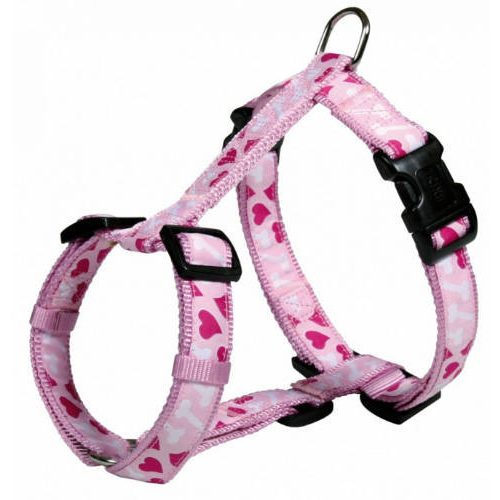 Trixie Modern Art Rose Heart