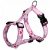 Trixie Modern Art Rose Heart