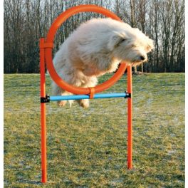 Trixie agility gyűrű szett