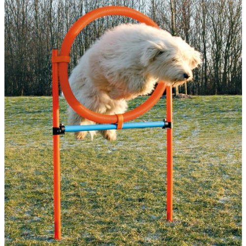 Trixie agility gyűrű szett