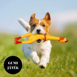 Gumijátékok
